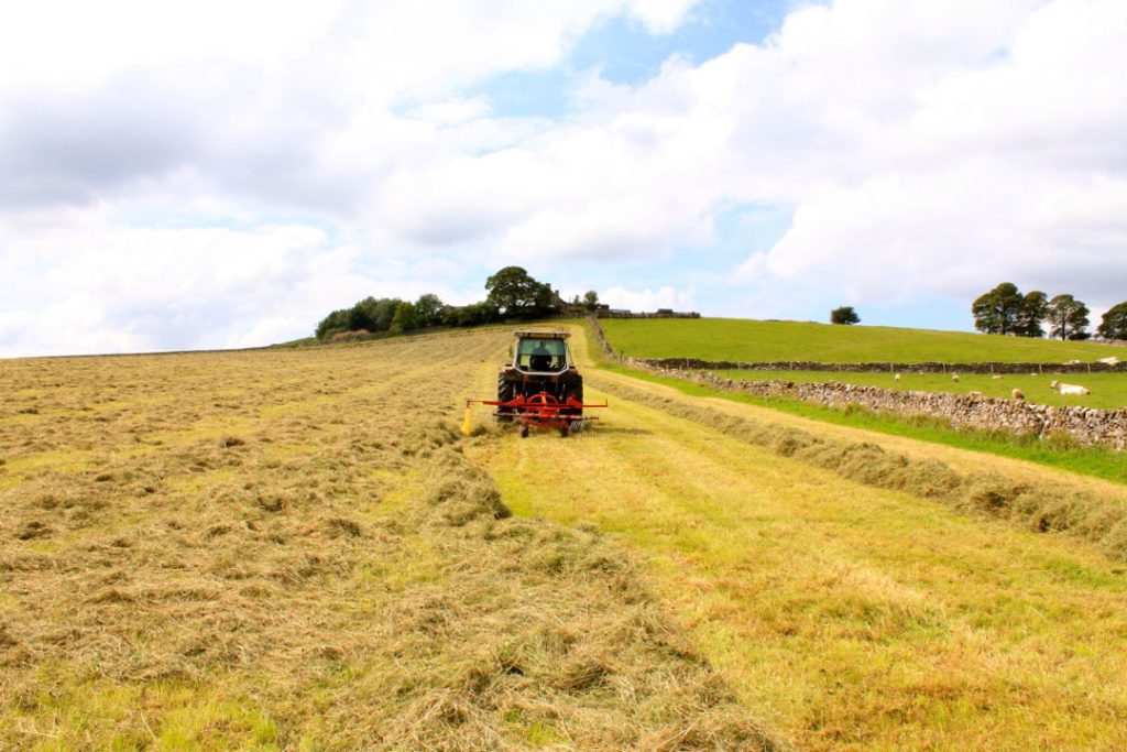 Haymaking in the wildflower meadows at Broad Ecton Farm.
